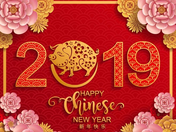 金豬送喜辭舊歲，雙志陪您慶新春！